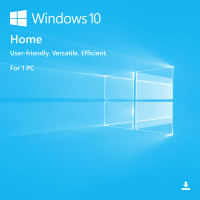 Windows 10 Home 10_home-big