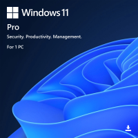 Name UNIQ Win 11 Pro 11_pro-big