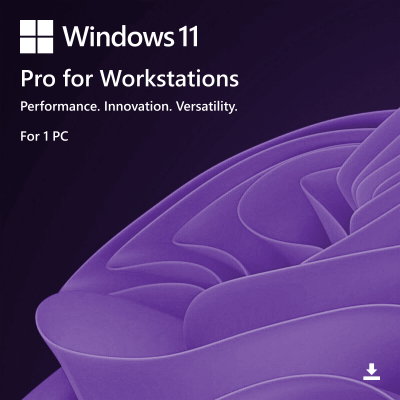 Windows 11 Pro for Workstations 11_pro_ws-big