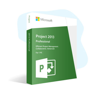 Project 2013 Professional project_13-angle